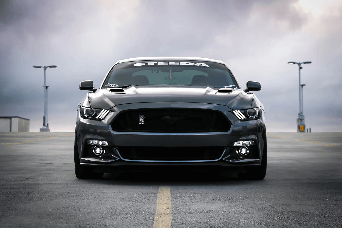 Owner Image